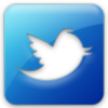 Twitter 2 pour site